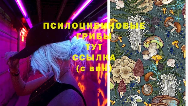 герыч Алексеевка
