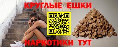 прущие грибы Тула