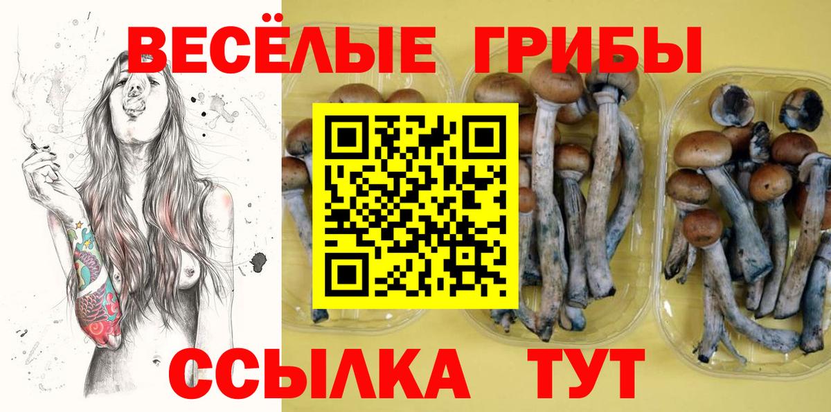 Галлюциногенные грибы прущие грибы Луга